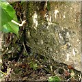 Bench mark, Glebe Road, North Luffenham