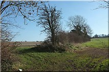 ST7061 : Field boundary near Inglesbatch by Derek Harper
