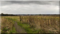 Land at the end of Blatherwick Road, Newark