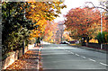 Autumn on Hale Road