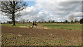 Crop fields north of Lingwood