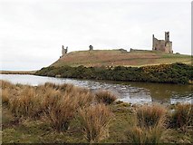NU2521 : Broad 'moat' south-west of Dunstanburgh Castle by Andrew Curtis