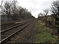 Looking west along the railway