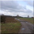 Track towards Blackmere Farm