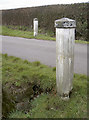 ST5660 : Toll Road posts by Neil Owen