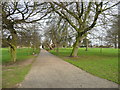 An avenue in Christchurch Park, Ipswich