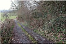 SX6251 : Erme-Plym Trail near Flete by Derek Harper