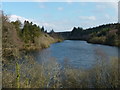 Trenchford reservoir from the car park