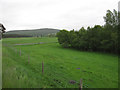 Field near Boat of Cromdale