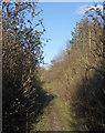 Public footpath east of South Cornelly