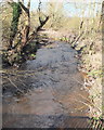 River Tawd at Summer Street Bridge, Skelmersdale