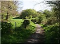 Footpath to South Lodge