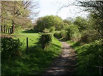 NS5461 : Footpath to South Lodge by Richard Sutcliffe