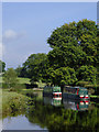 Moored narrowboats north of Rhoswiel, Shropshire