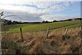 Farmland, Whitefield