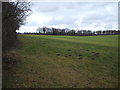 TL6160 : Farmland near Newmarket Equine Hospital by JThomas