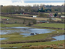 SK4743 : Flooded fields next to the River Erewash by Mat Fascione