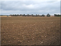TL7469 : Field east of Higham Road by JThomas