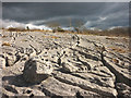 SD5578 : Limestone pavement north of Potslacks by Karl and Ali