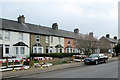 Coleridge Road: gas works and an early-flowering  magnolia