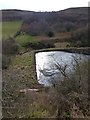 Pond above Kilham