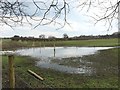 SJ7949 : Halmer End: flooded field at Chapel Farm by Jonathan Hutchins