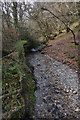 West Somerset : Small Stream