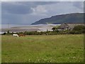 Horses at Porlock Weir