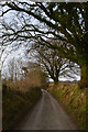 ST0232 : West Somerset : Brown Lane by Lewis Clarke