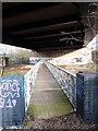 Footbridge over the River Tame