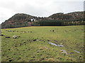 Grazing land near Brin Mains