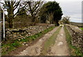 Public footpath at the eastern edge of Minchinhampton