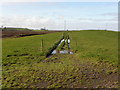 Tracks in a field, Eskermore