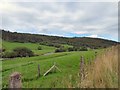 The Valley of the Afon Machno near Tynygroes