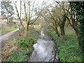 Yeading Brook