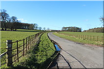 NX4745 : Road to Garlieston Home Farm by Billy McCrorie