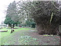 Footpath through the churchyard, Hintlesham