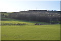 Farmland in the Nidd Valley