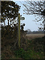 Bridleway sign on Eastbridge Lane