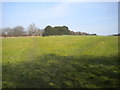 Two cross field paths east of Awsworth