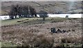 NS2656 : Camphill Reservoir near Whitehill on the Largs road by Alan Reid