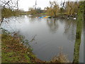 Boating Lake in Harrow Lodge Park