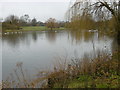 Boating Lake in Harrow Lodge Park