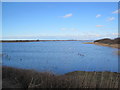 RSPB Marshside Nature Reserve