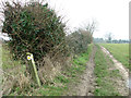 Footpath markers at junction