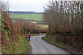 West Somerset : Country Lane