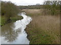 The River Beam flowing through The Chase Nature Reserve