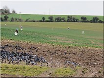 W5167 : Fields growing crops by Hywel Williams