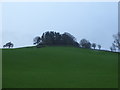 Wooded knoll on the skyline