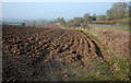 Ploughed field near Bawdrip